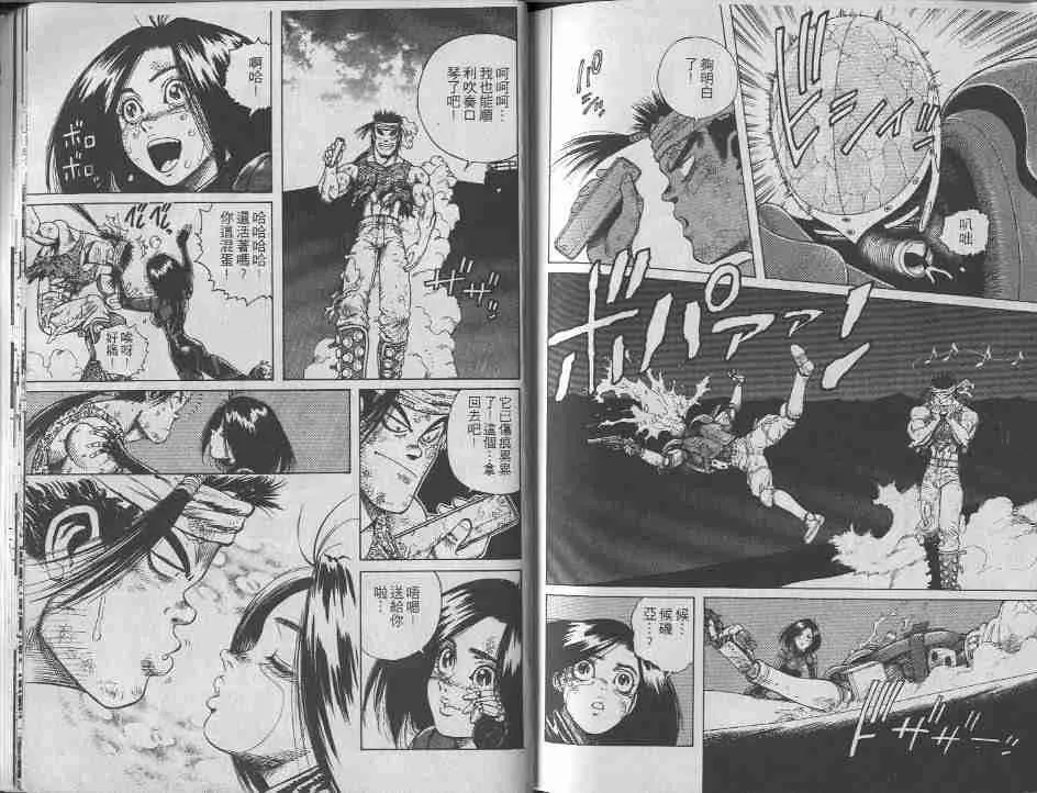 第6卷 第102页