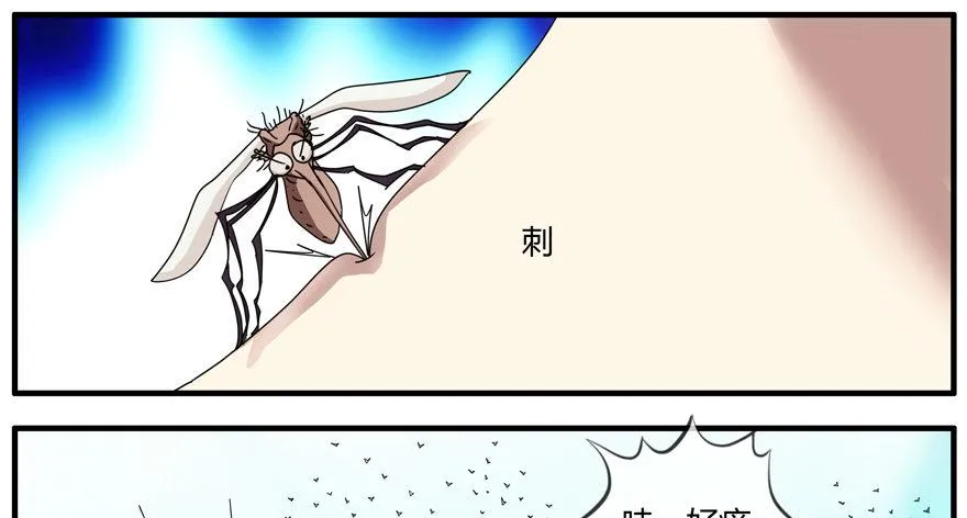 80.密码正确 第11页