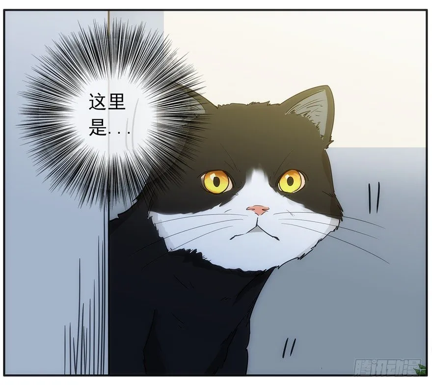 21.恶意 第13页
