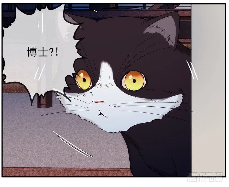 22.已经开始了 第21页