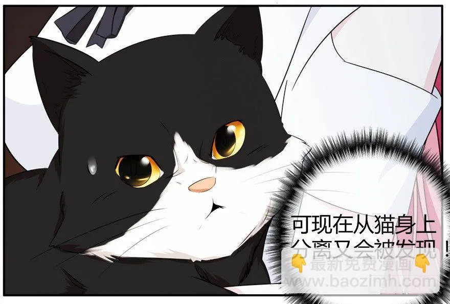 23.暗道（上） 第15页