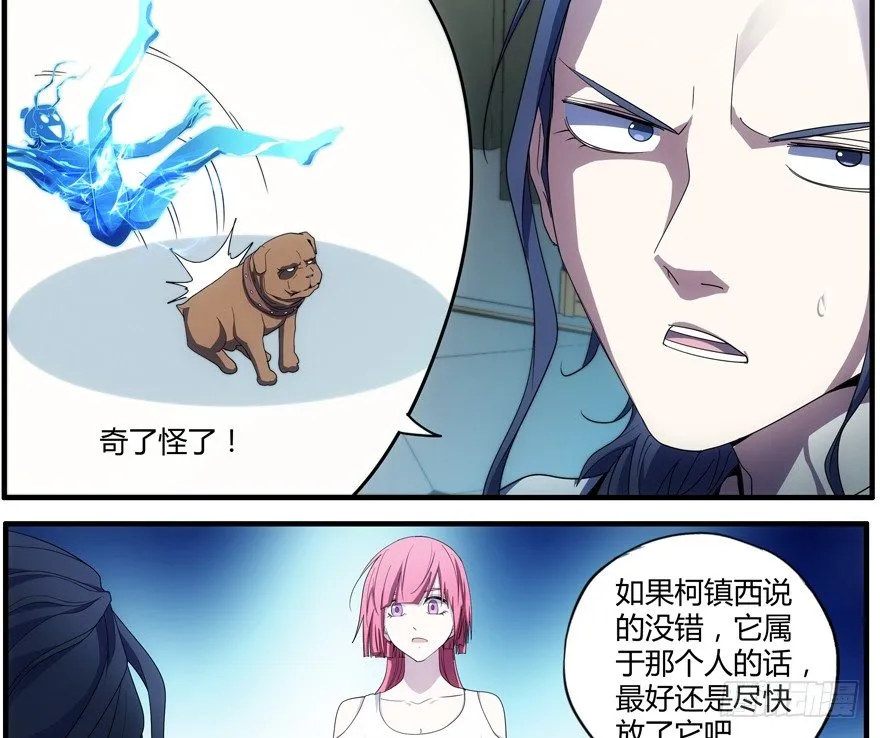 73.我太弱了 第5页