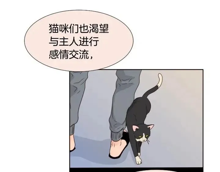 第104话 越界 第31页