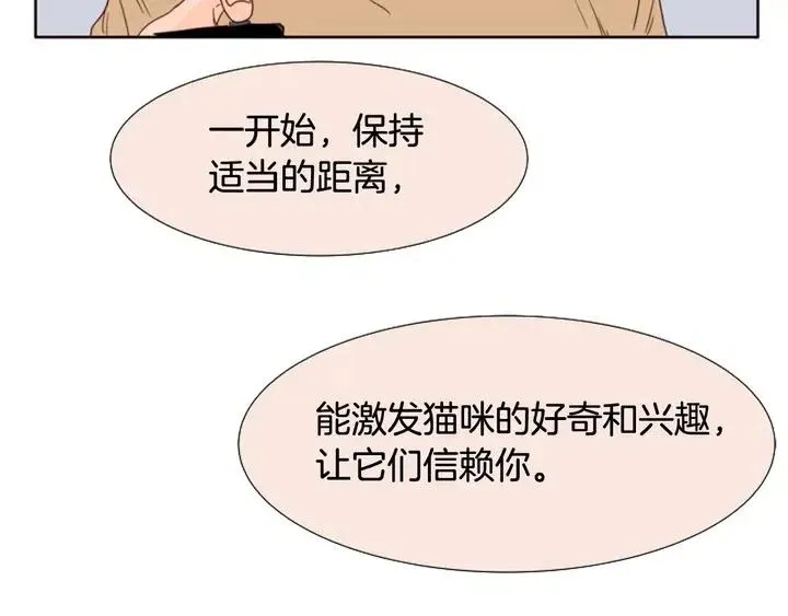 第104话 越界 第34页