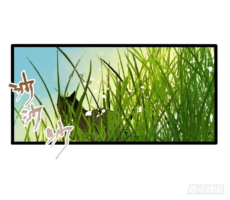 姑娘，我是你当年救下的小可爱呀！ 第12页