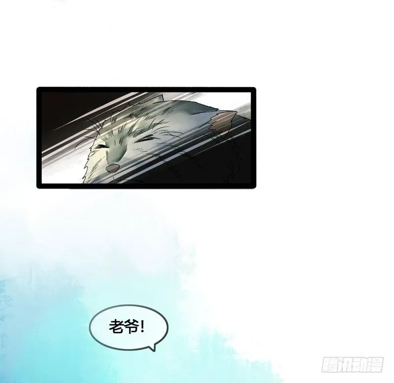 姑娘，我是你当年救下的小可爱呀！ 第17页
