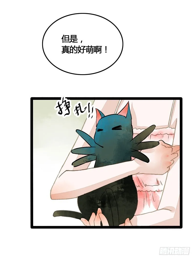 鲜衣怒马，一眼万年 第14页