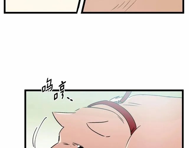 第29话 没有攻击性的眼睛 第58页