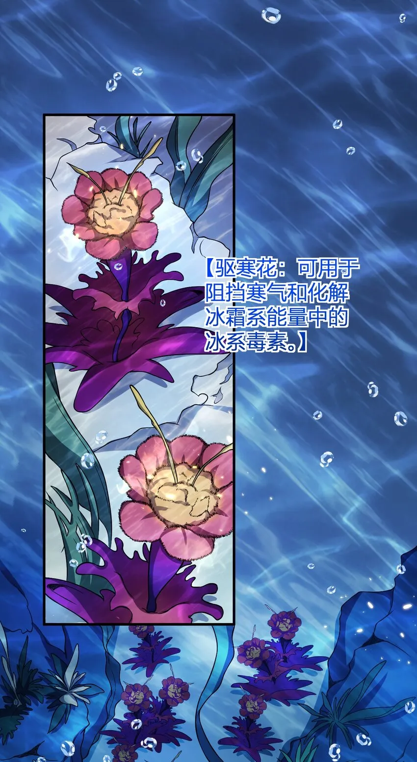 15 第二只灵宠 第24页