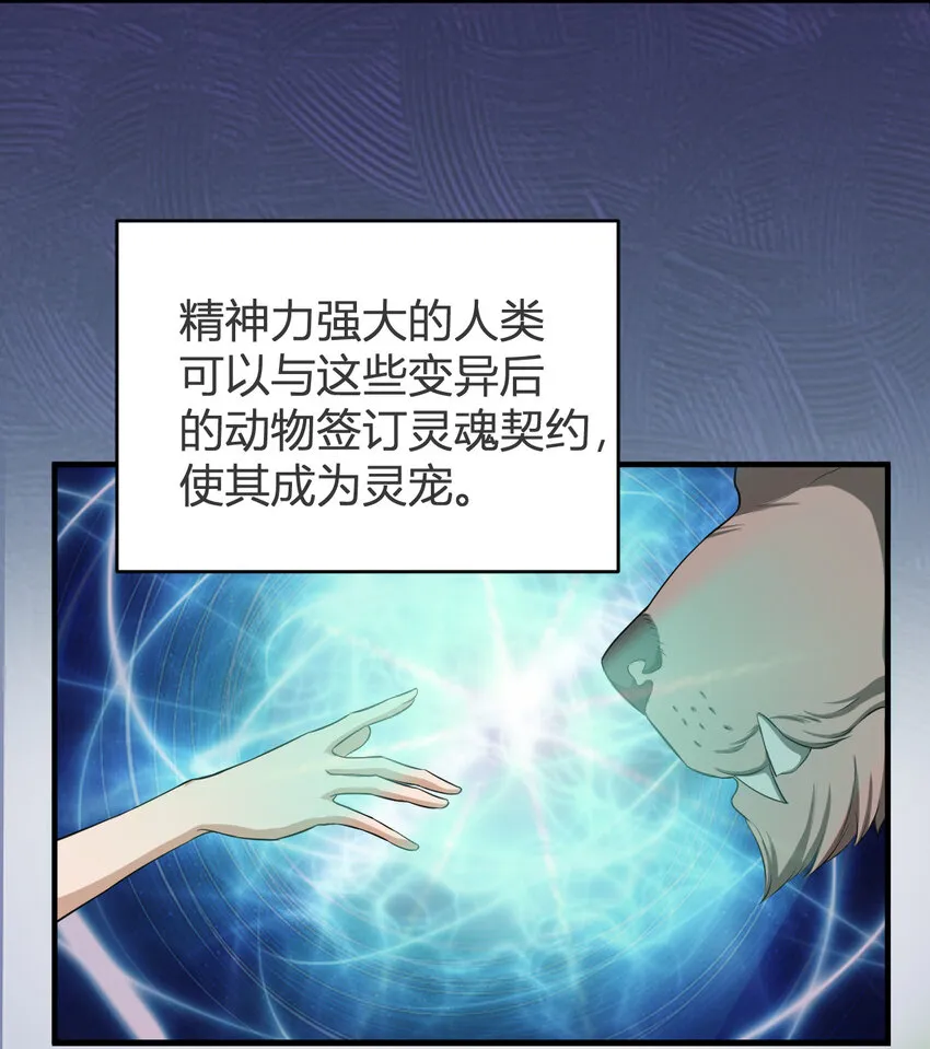 1 首个灵宠 第13页