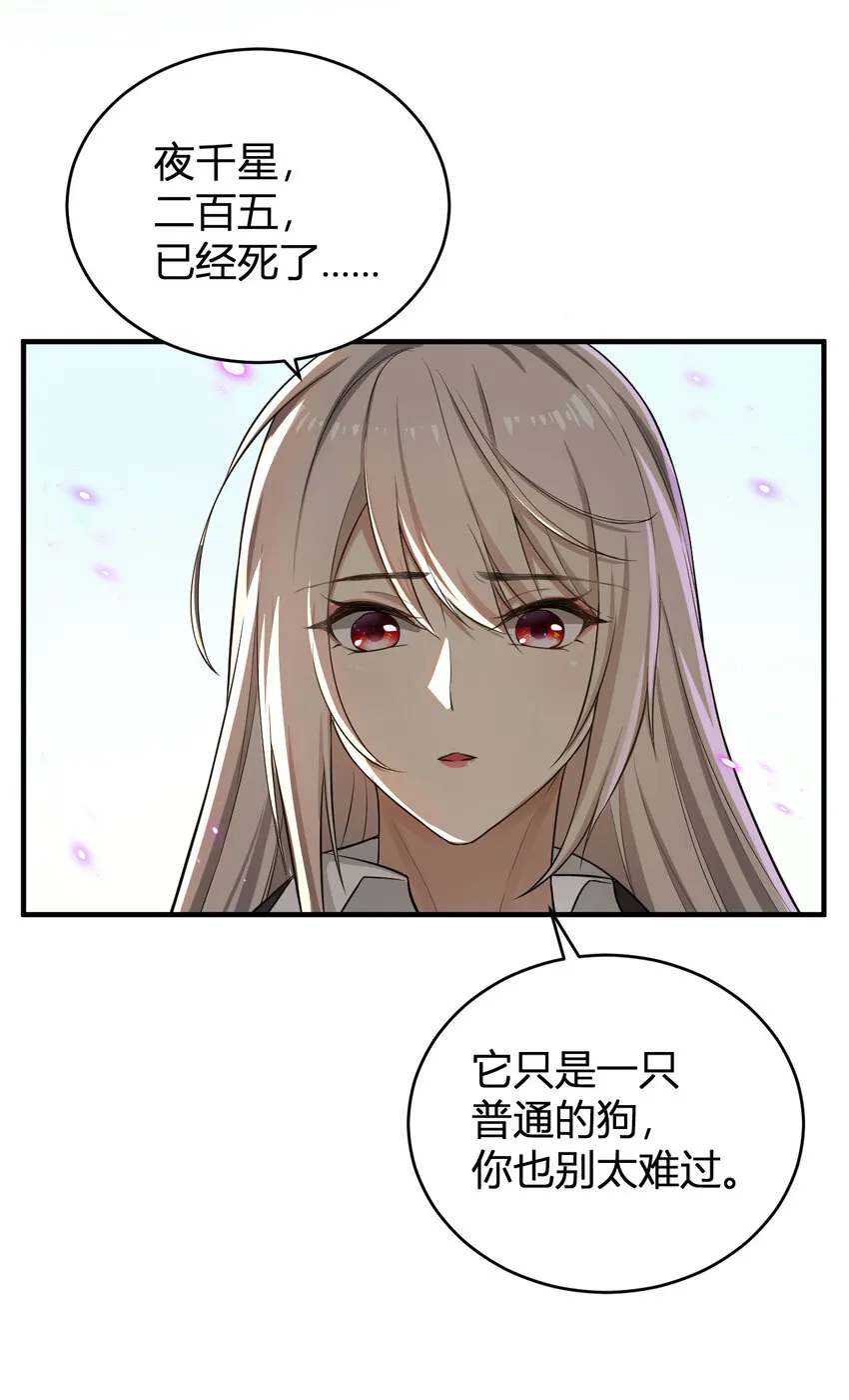 1 首个灵宠 第27页