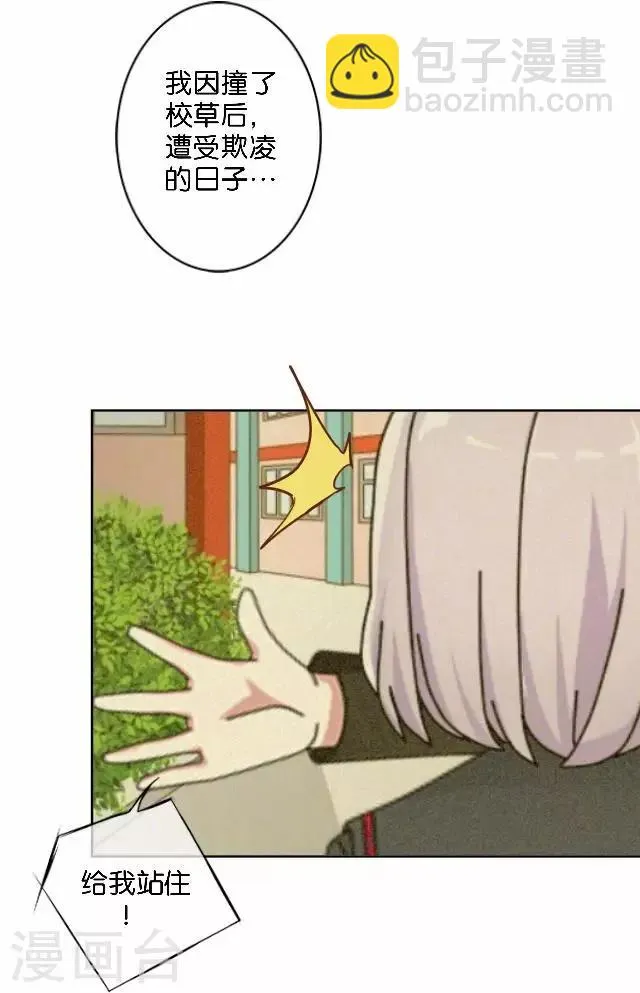 第32话 阳阳的秘密即将泄露！？ 第12页