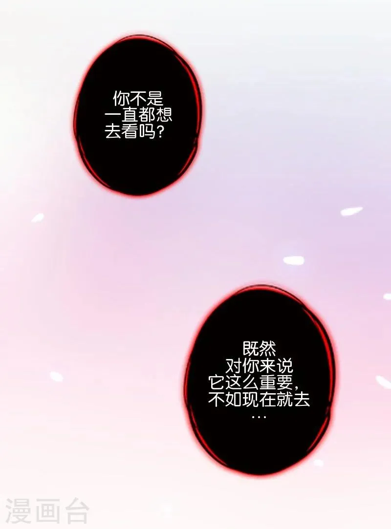 最终话 照顾好自己，我走了 第13页