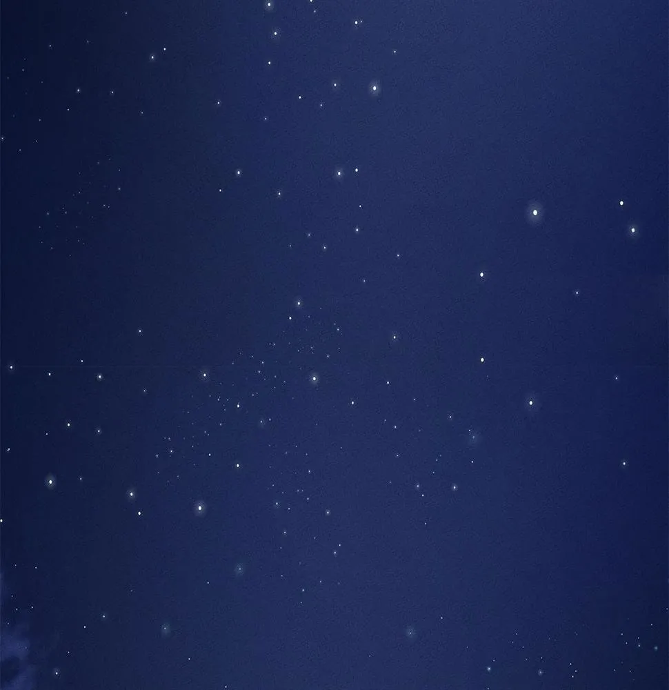 第132话 正确的方向 第224页