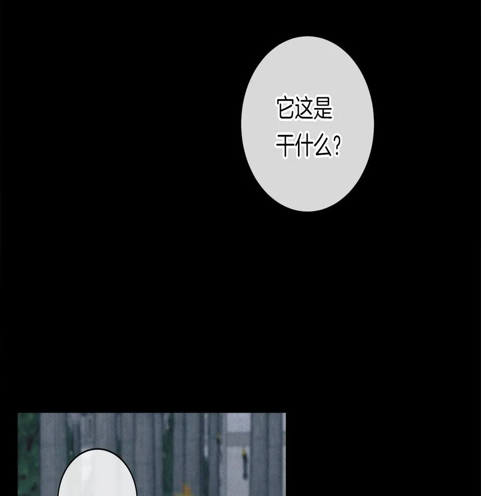 第127话 分散岛屿 第142页