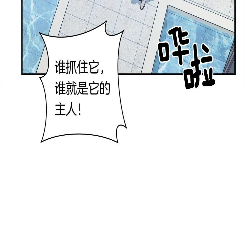 第120话 协调 第43页