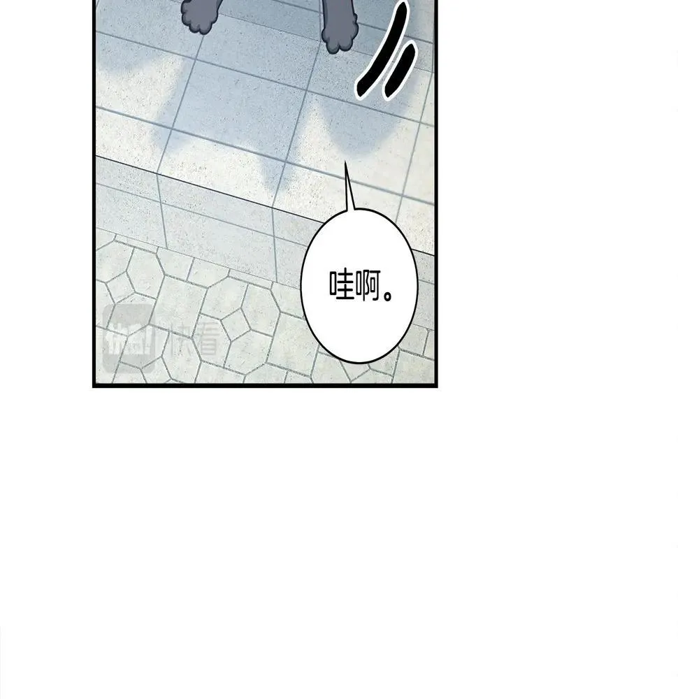 第120话 协调 第71页