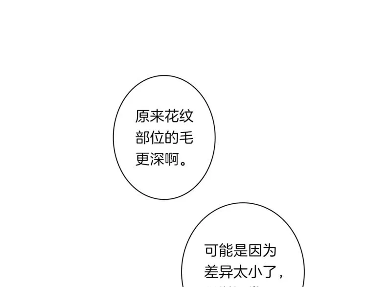 第41话 龙族危机 第2页
