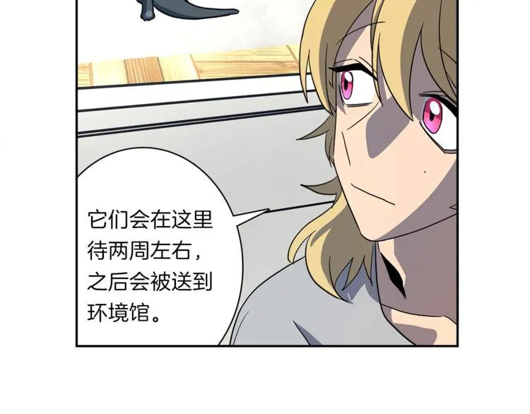 第42话 仅存的龙 第89页