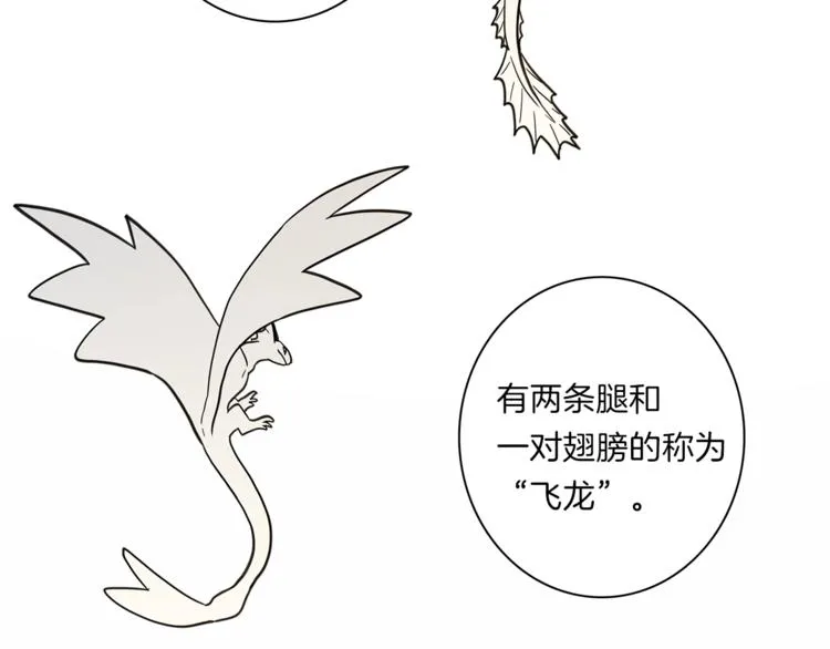 第43话 龙的分类 第38页