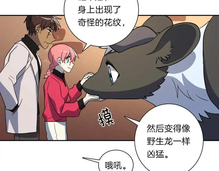 第43话 龙的分类 第99页