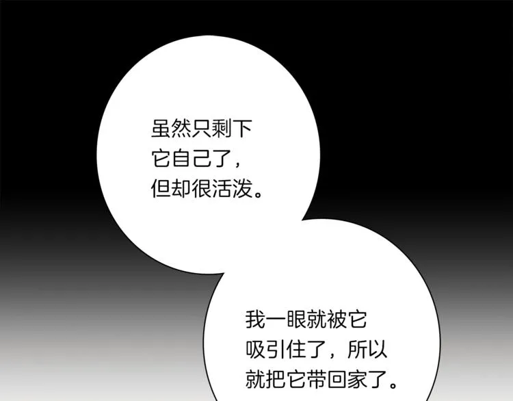 第45话 朋友还是商品 第52页