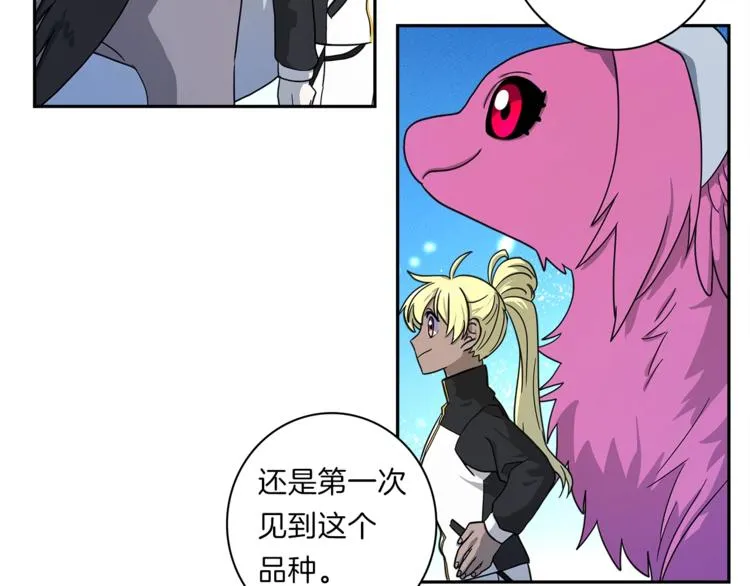 第49话 骑手和龙 第13页