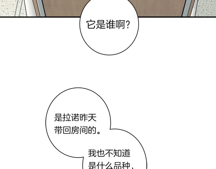 第66话 变种龙 第16页