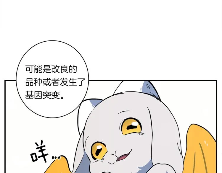 第66话 变种龙 第63页