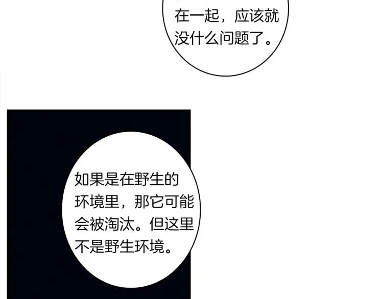 第66话 变种龙 第72页