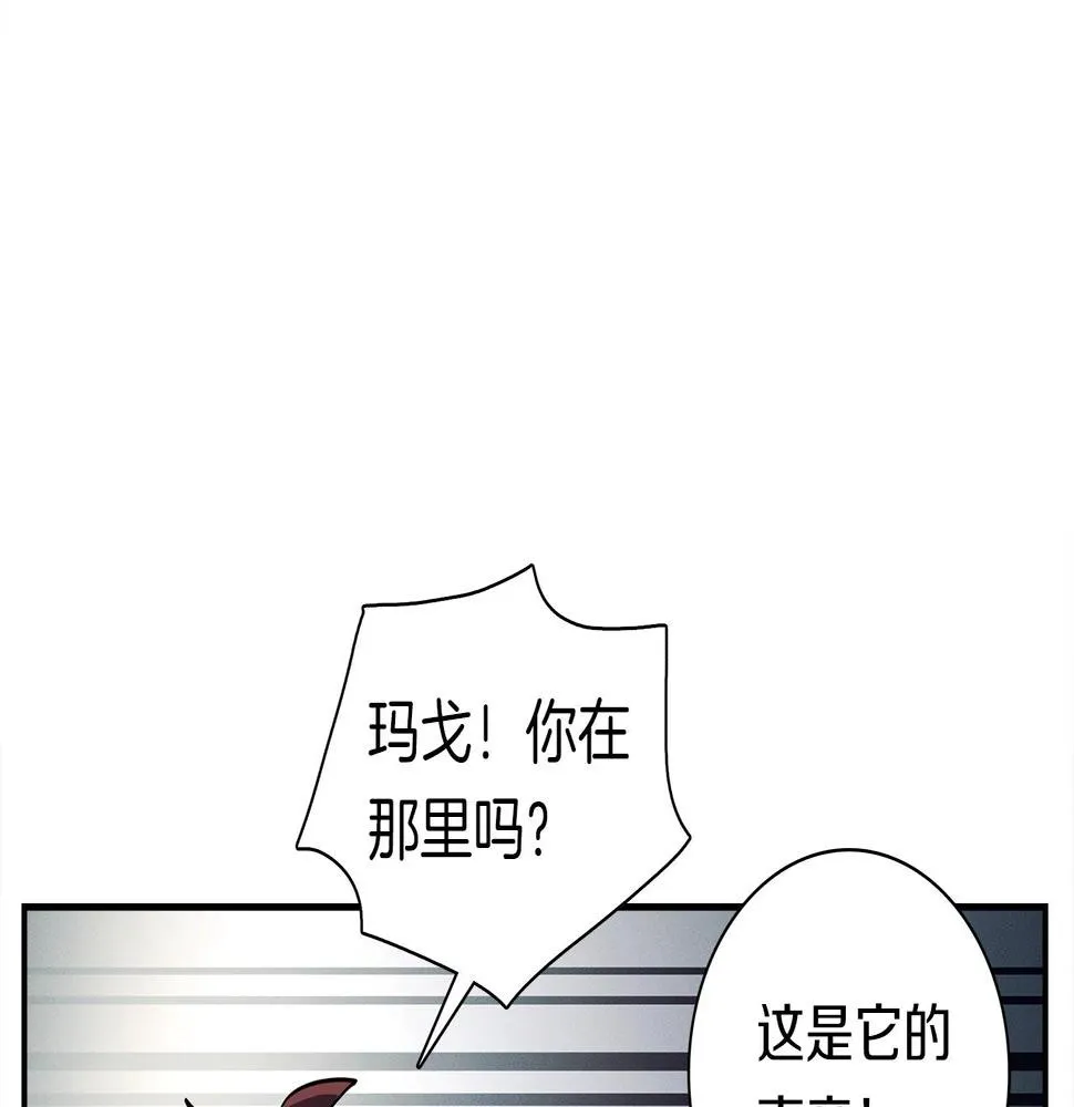 第109话 暗处的行动 第147页
