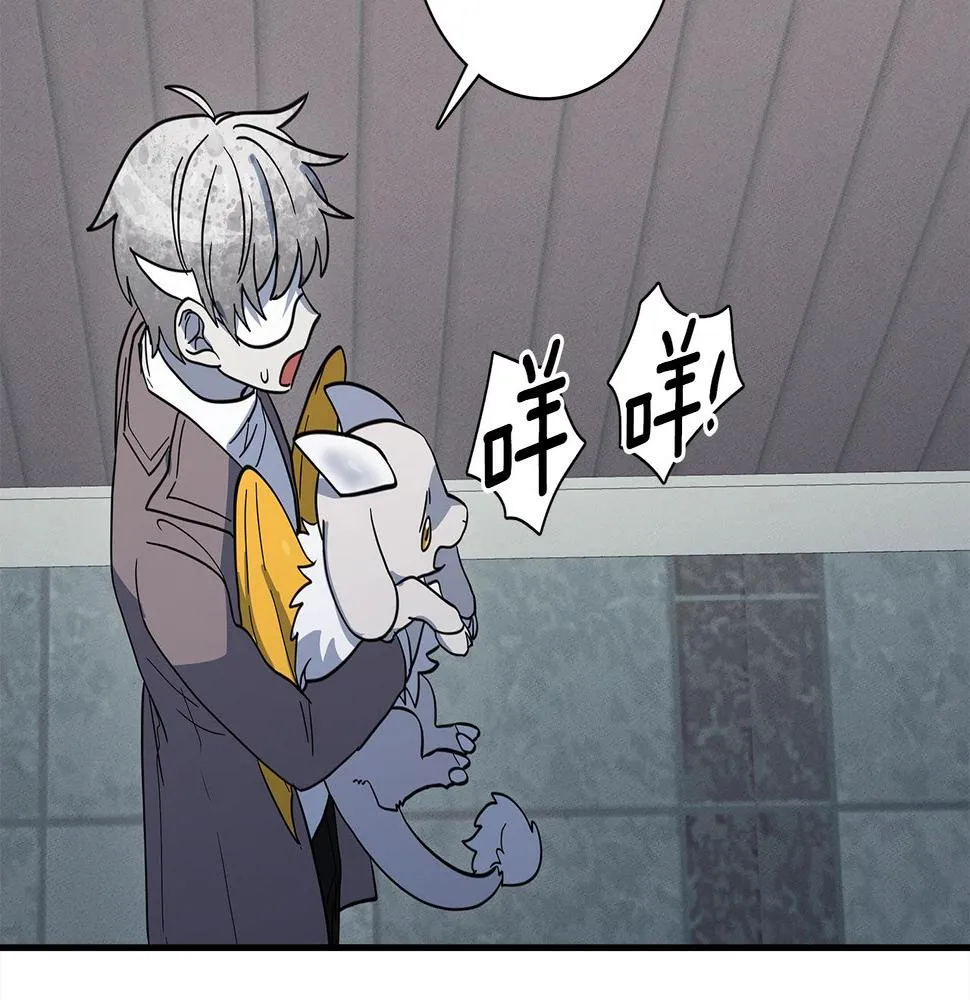 第109话 暗处的行动 第165页