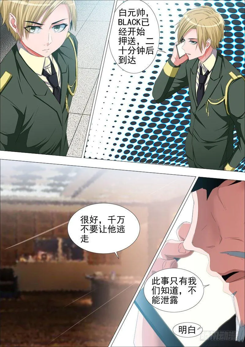 停火 第4页