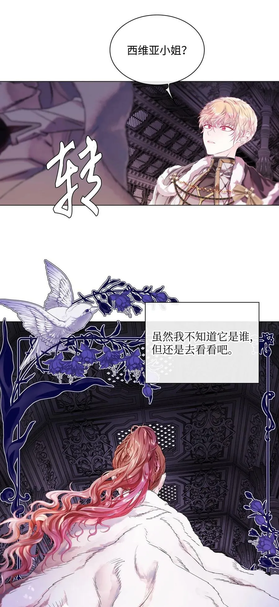 97 世界树种子 第39页