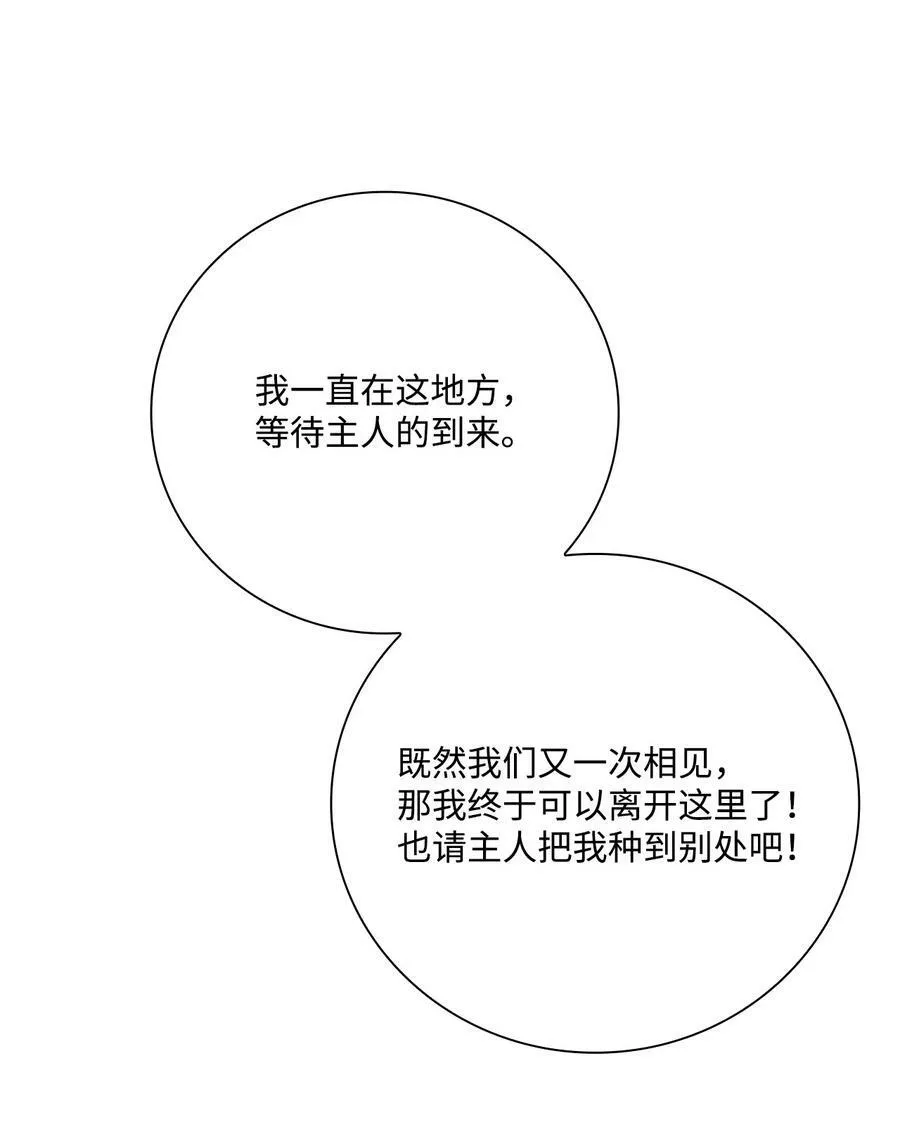 97 世界树种子 第95页