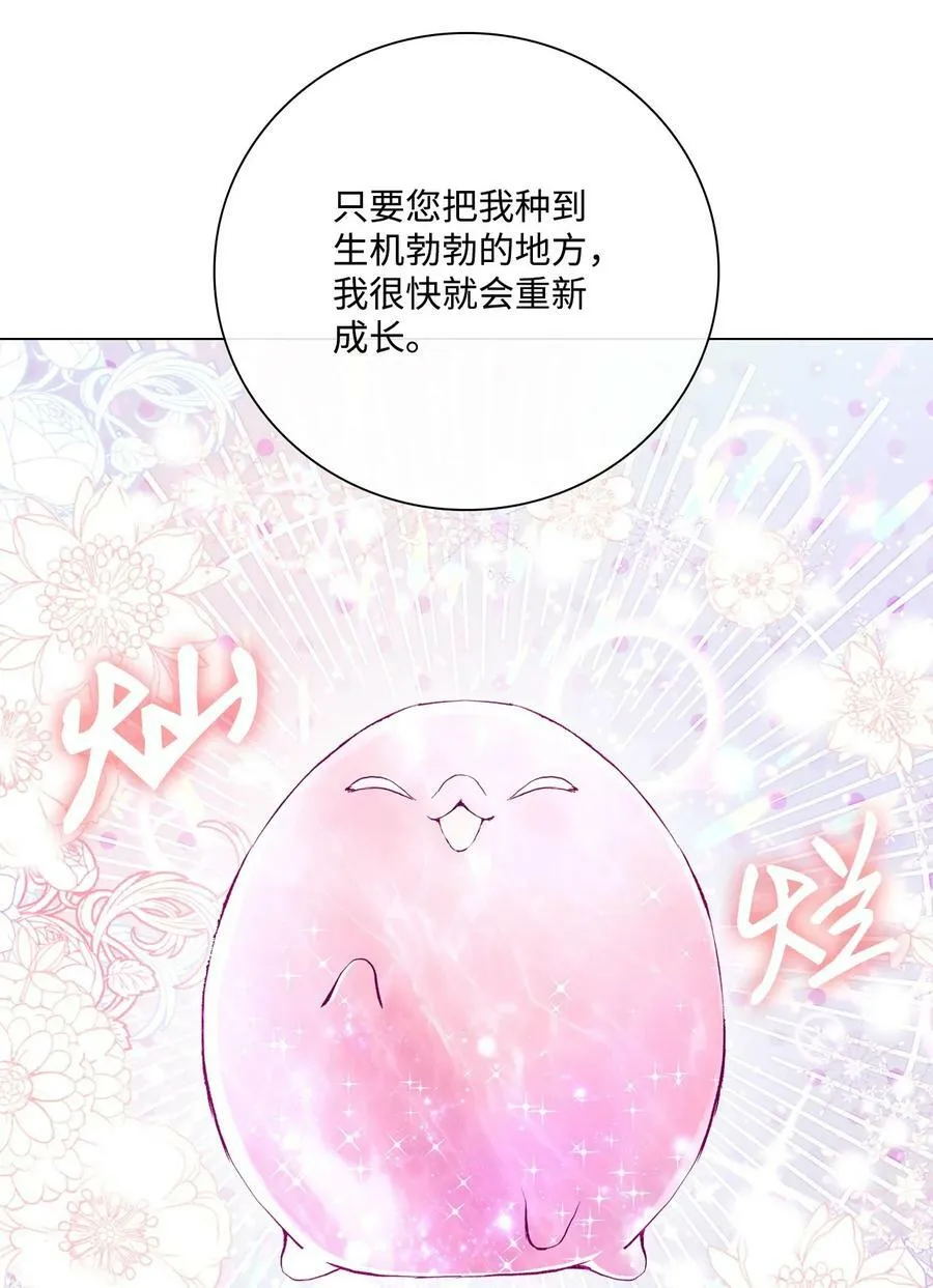 97 世界树种子 第96页
