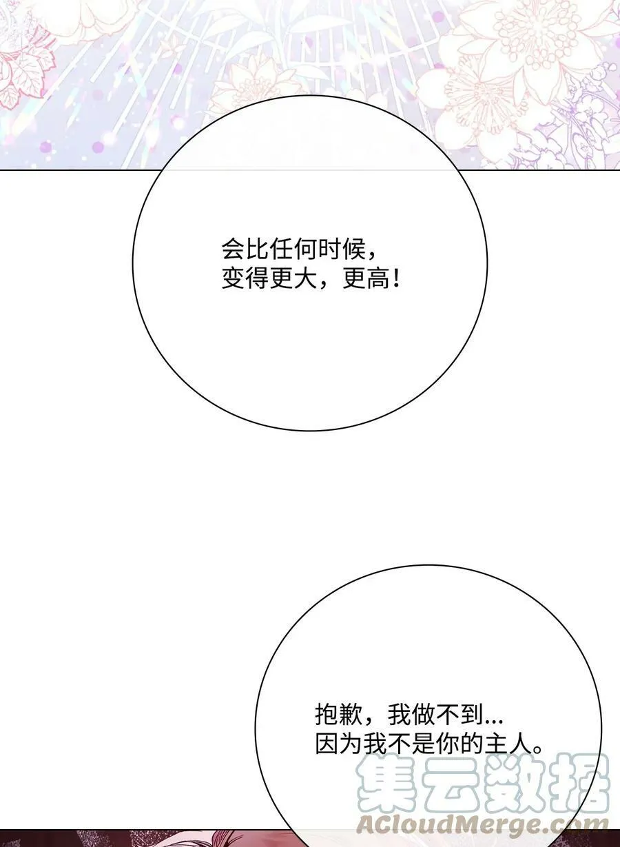 97 世界树种子 第97页