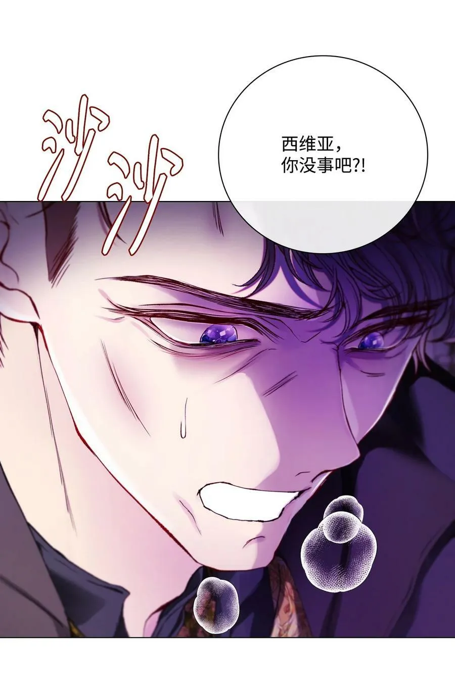 99 真假西维亚 第14页