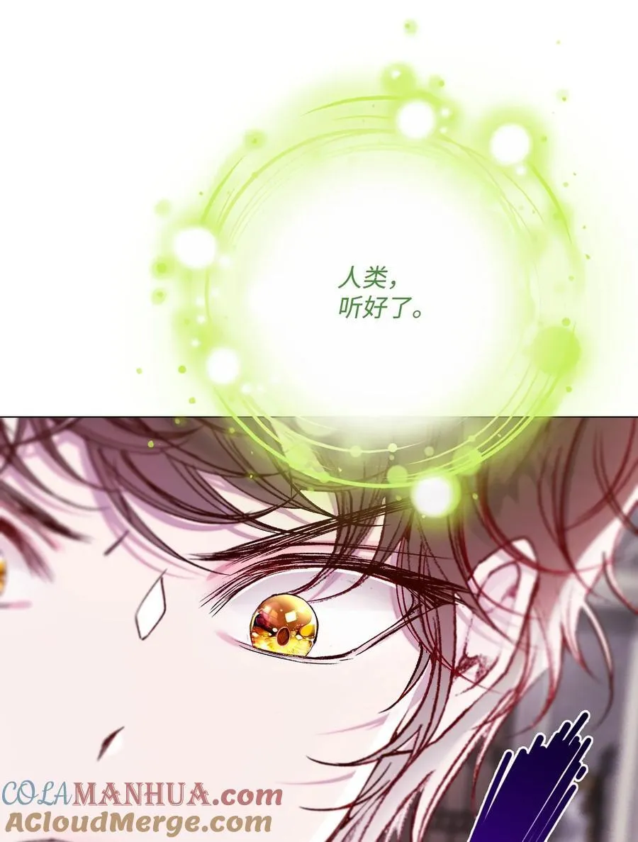 113 艾尔兰的身份 第29页