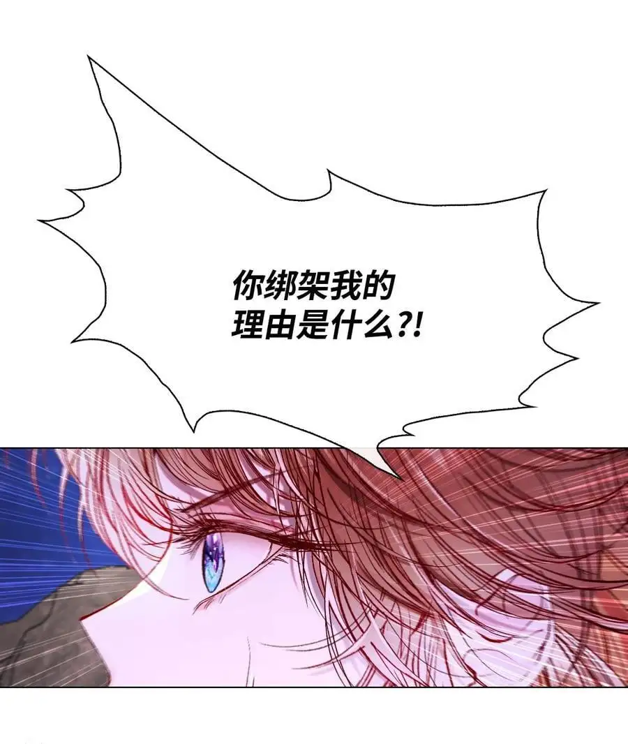 114 另一重身份 第71页