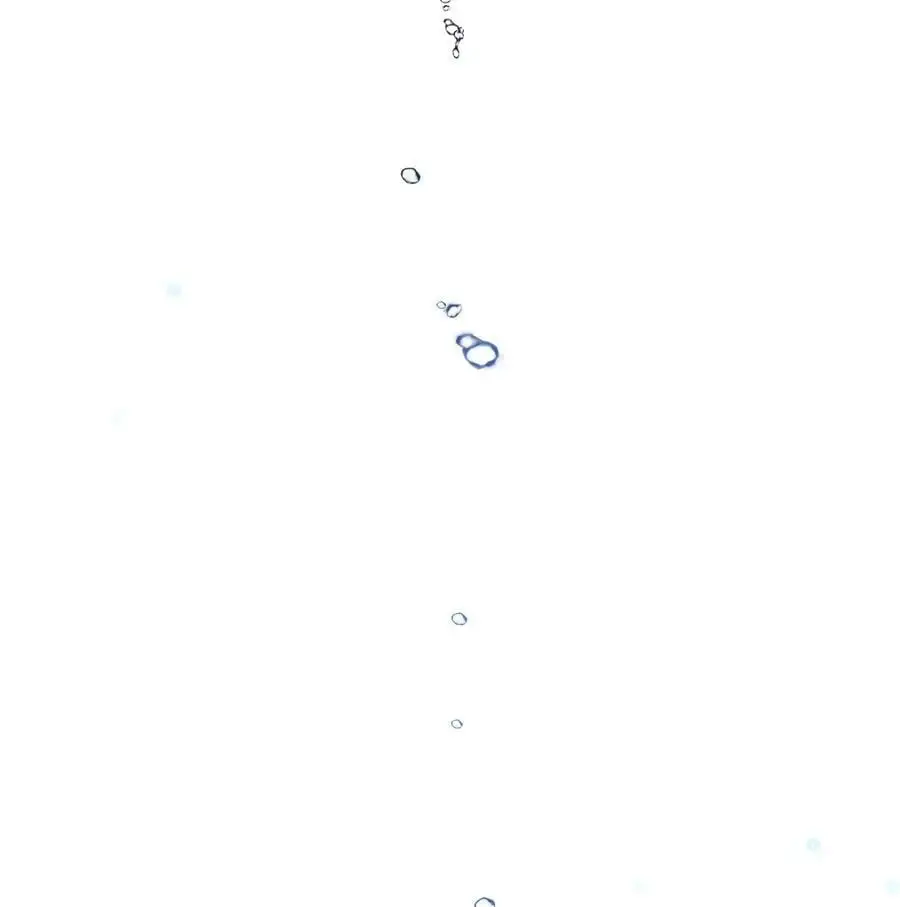 118 阴谋 第81页