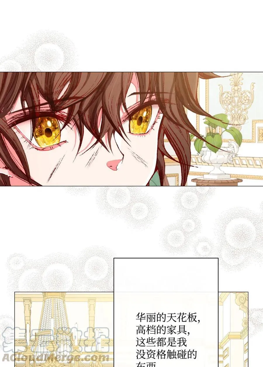 10 男宠？ 第29页