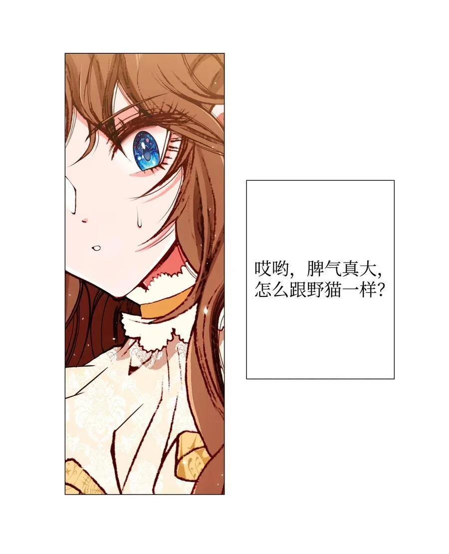 07 泰博 第20页