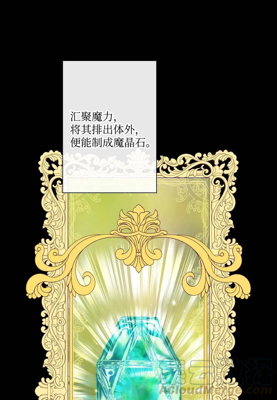 16 魔晶石 第69页
