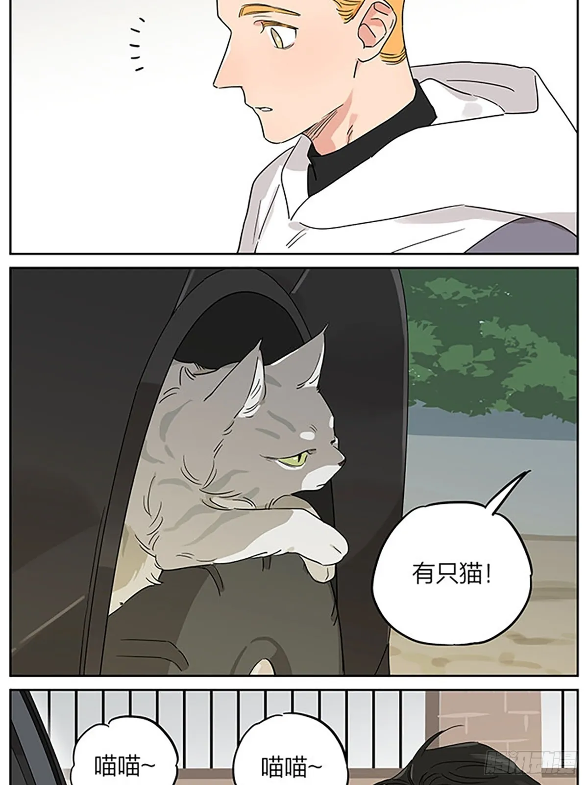 撸猫 第2页
