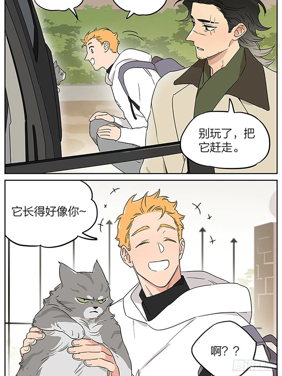 撸猫 第3页