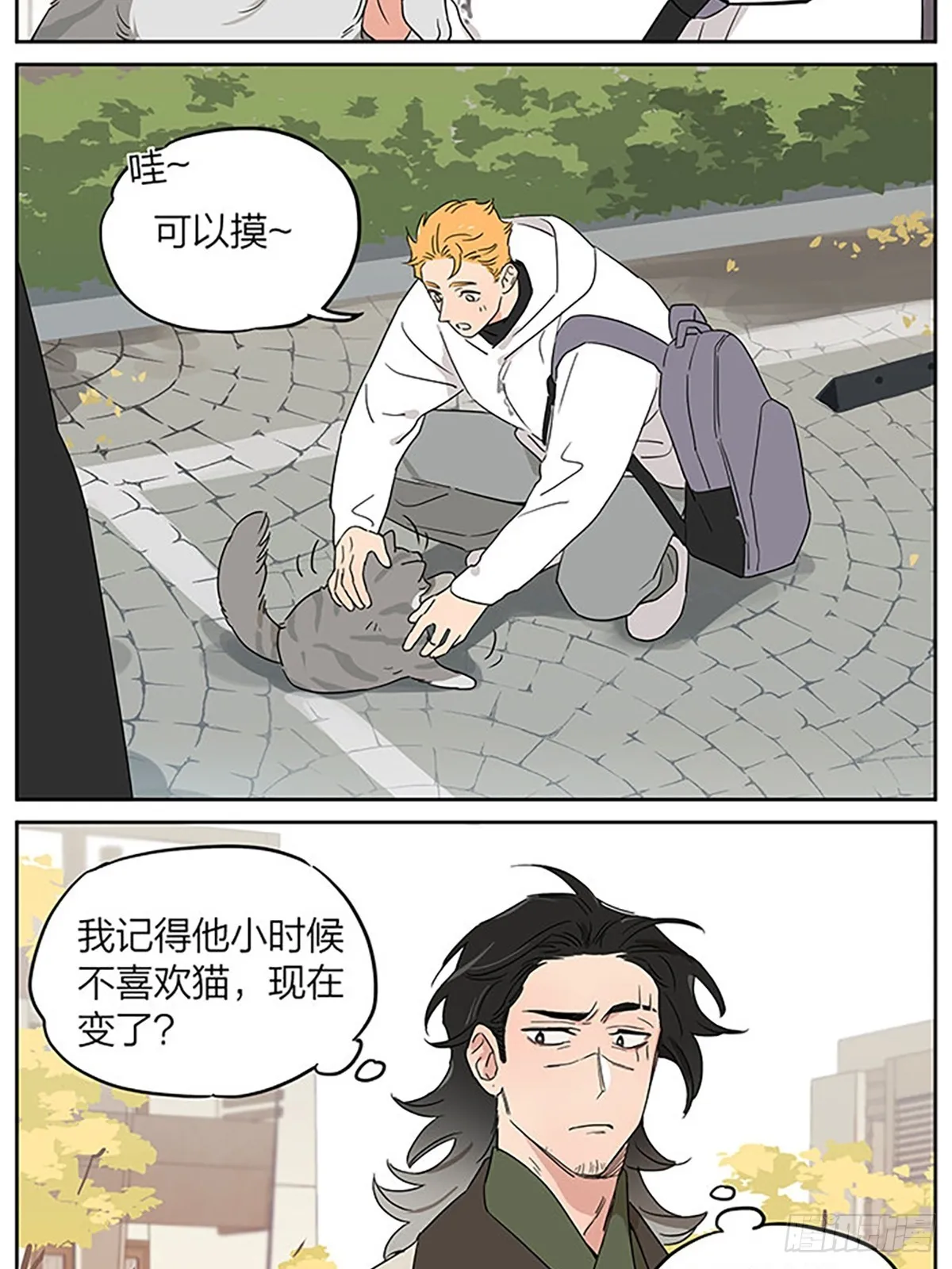 撸猫 第4页