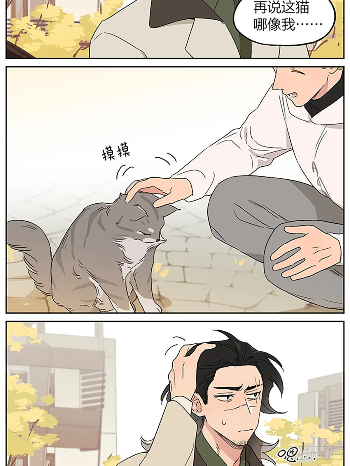 撸猫 第5页