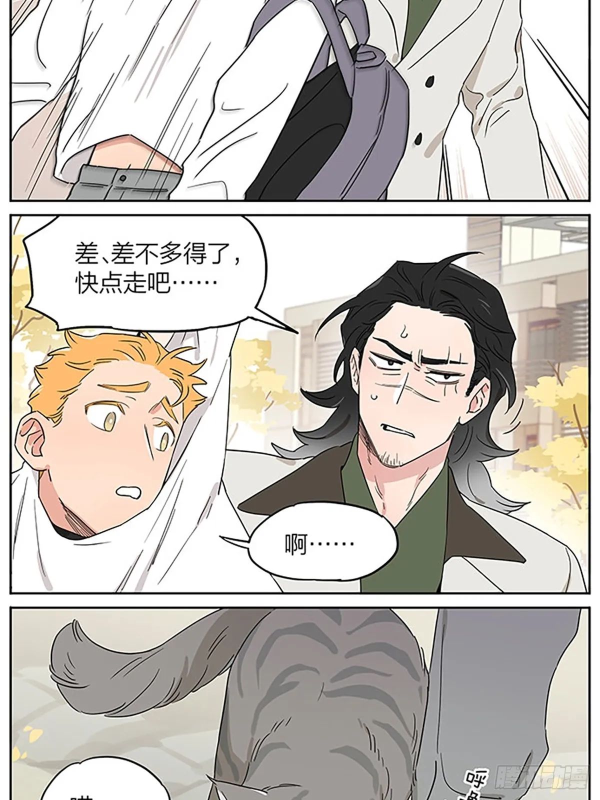 撸猫 第8页