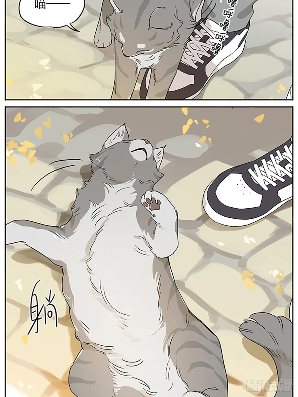 撸猫 第9页